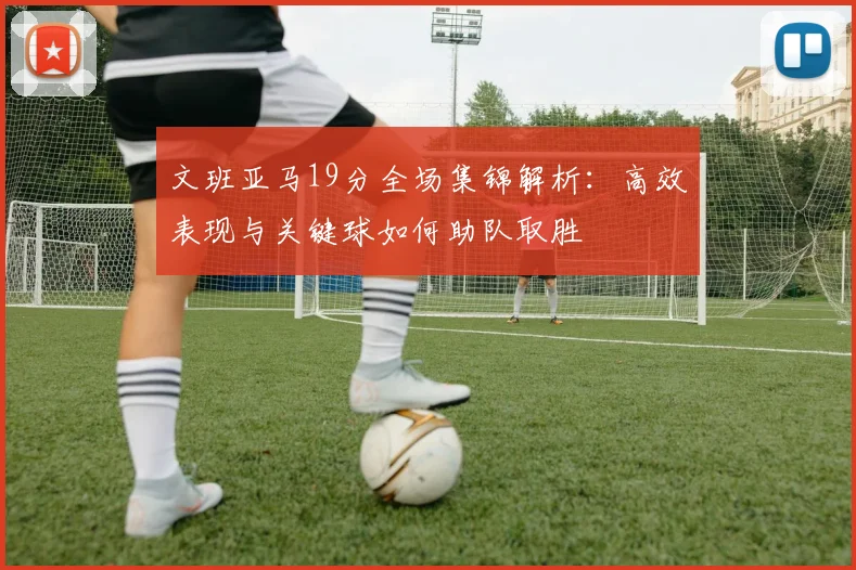 文班亚马19分全场集锦解析：高效表现与关键球如何助队取胜