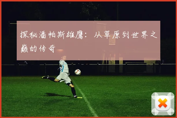 探秘潘帕斯雄鹰:从草原到世界之巅的传奇