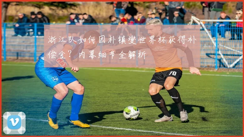 浙江队如何因朴镇燮世界杯获得补偿金？内幕细节全解析