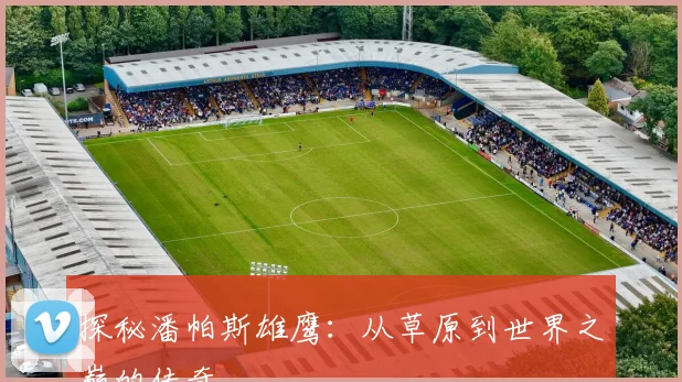 探秘潘帕斯雄鹰：从草原到世界之巅的传奇